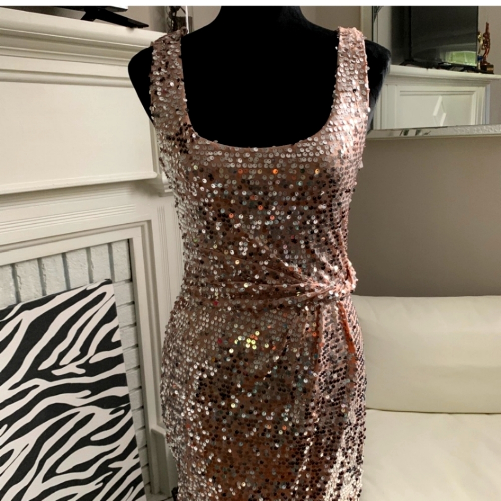 NWT Love Reign Sequin Taupe Dress, Sz Small